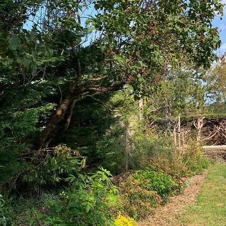 Villa Maison 4 Avec Jardin & Parking Prive